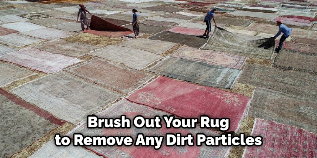 Leave the Rug in Direct Sunlight