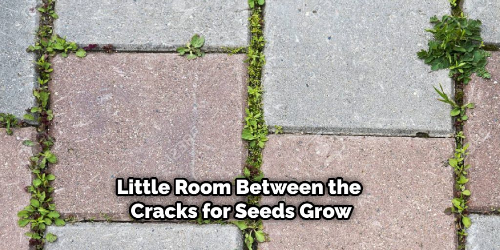 If your path is made from concrete slabs, there may be little room for dirt between the cracks for seeds to grow in. 