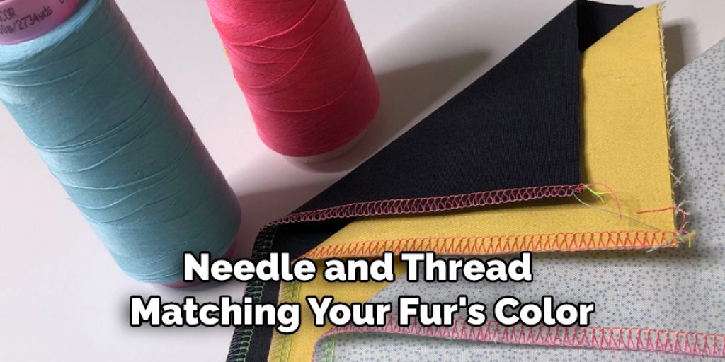 Needle and Thread Matching Your Fur's Color