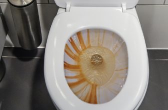 How to Fix Brown Toilet Water
