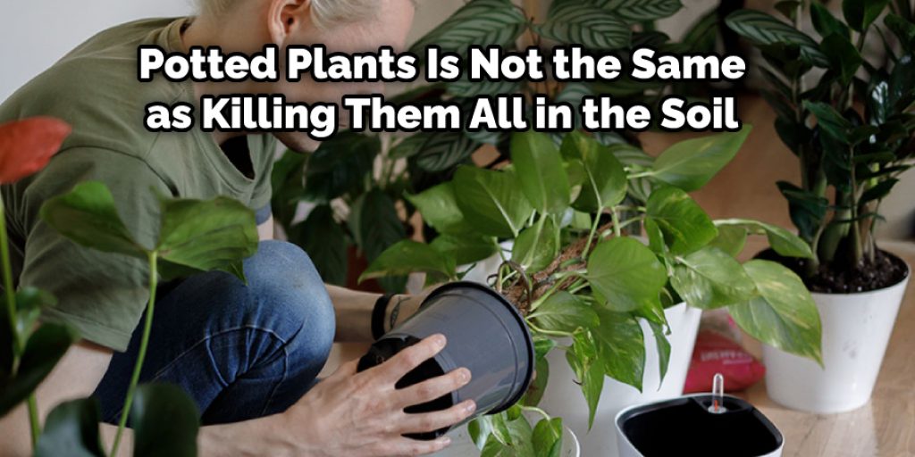  Getting rid of termites in potted plants is not the same as killing them all in the soil.