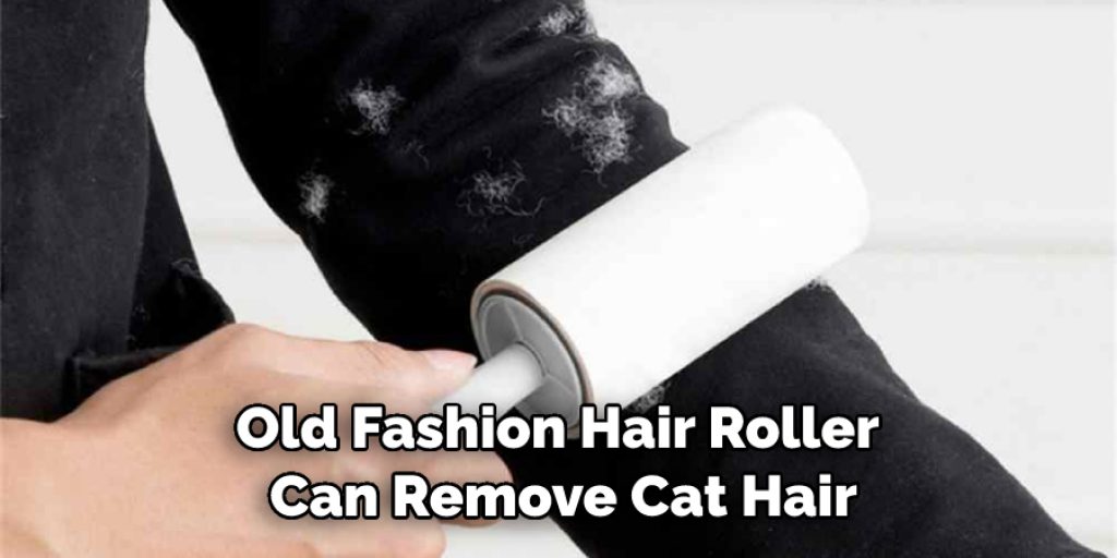 Old Fashion Hair Roller Can Remove Cat Hair