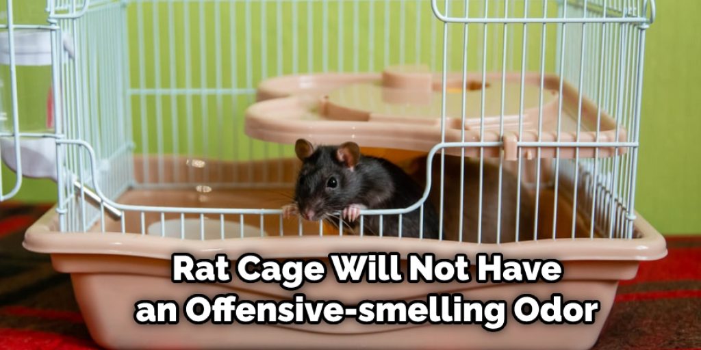 Rat Cage Will Not Have an Offensive-smelling Odor