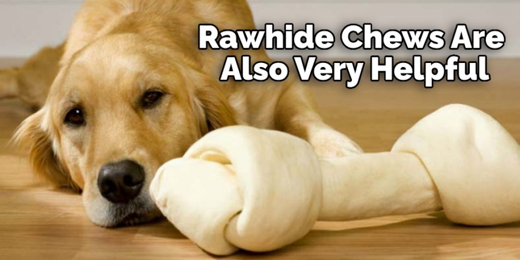 Rawhide Chews Are Also Very Helpful