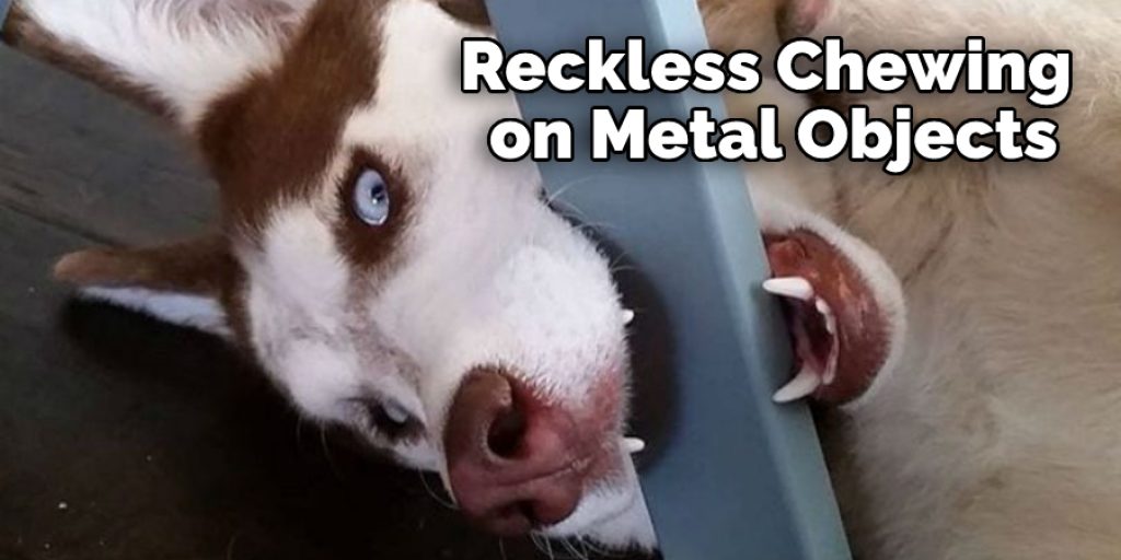 Reckless Chewing on Metal Objects