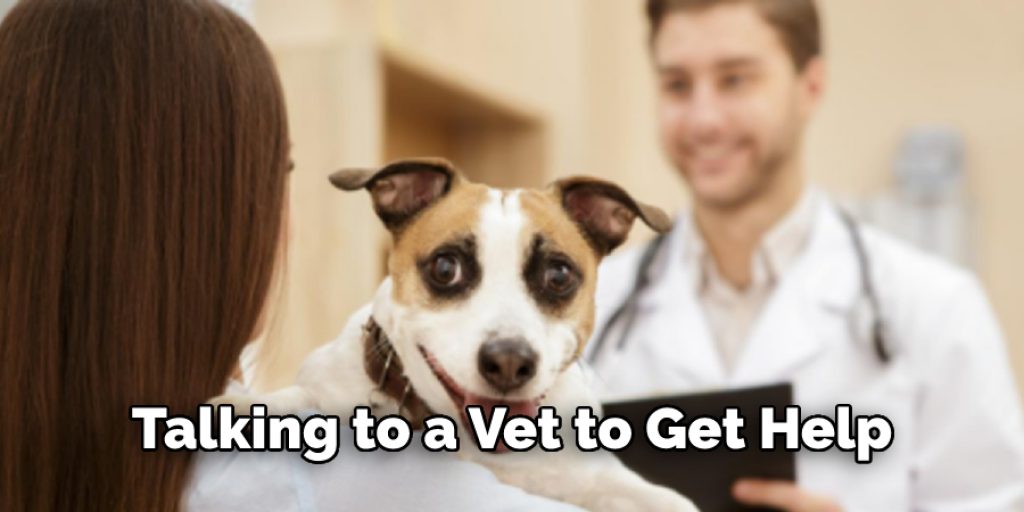 Talking to a Vet to Get Help