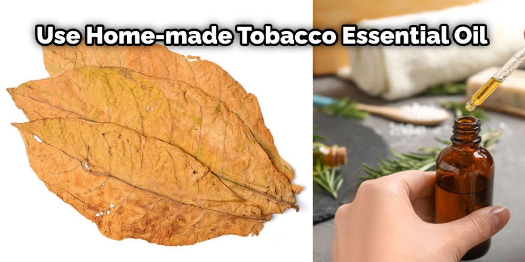 Now, you can spray a little amount of cologne on each of the pulse points and enjoy your home-made tobacco essential oil is ready to use now.