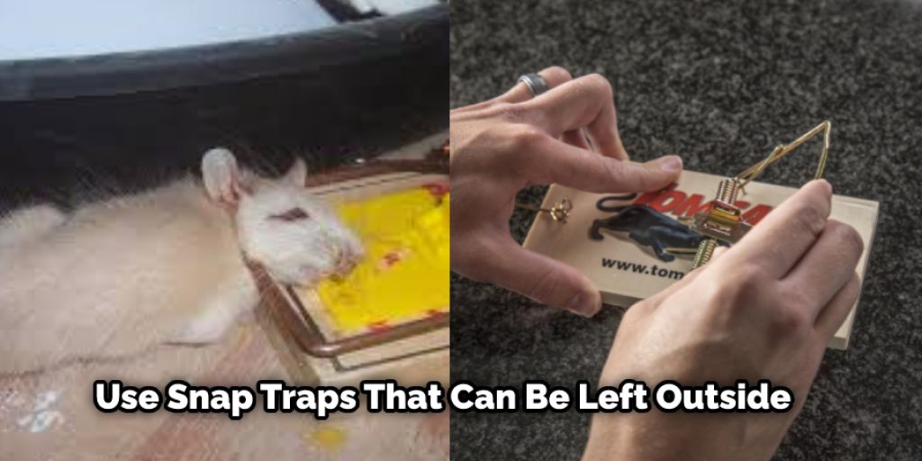 If you live in an apartment or other unit with access to the roof, use snap traps that can be left outside and baited with nuts or pieces of fruit.