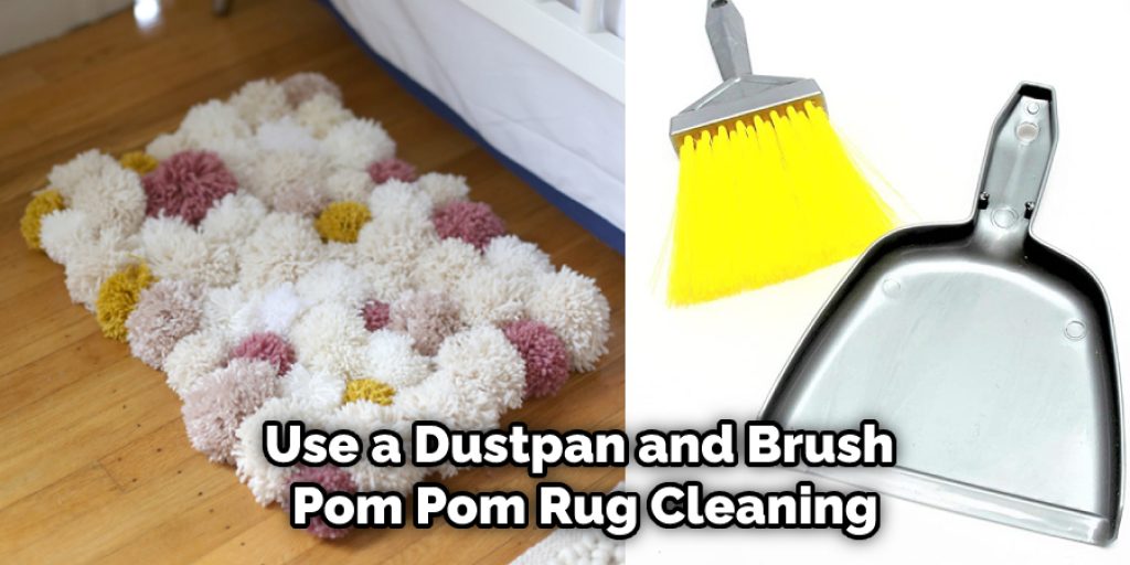 Just be sure to sweep and pick up any larger clumps of hair and dirt with a dustpan and brush. 
