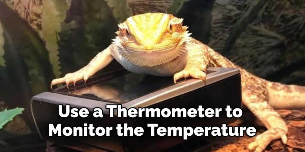 Use a Thermometer to Monitor the Temperature