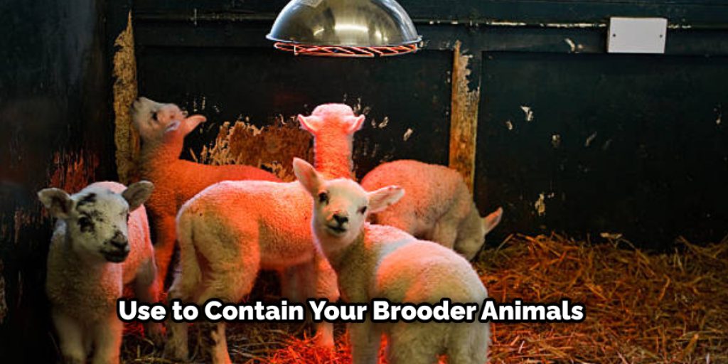 It all depends on how much wattage per square foot you have and what kind of set-up you use to contain your brooder animals.