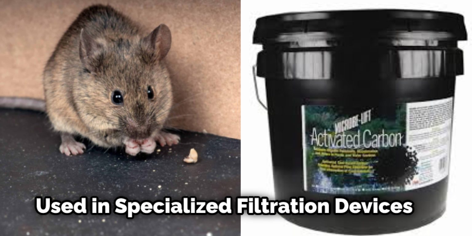 How to Get Rid of Rat Smell in House in 6 Easy Steps (2024)