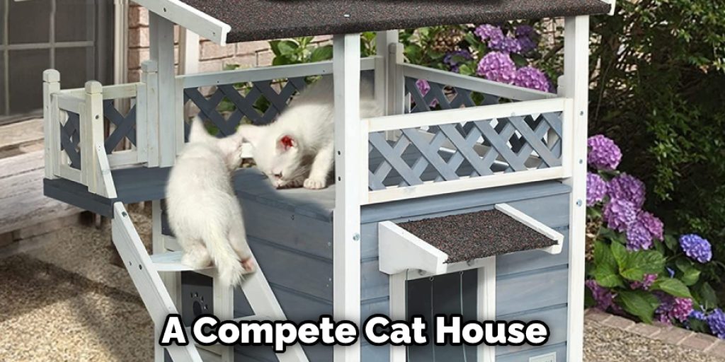 A Compete Cat House