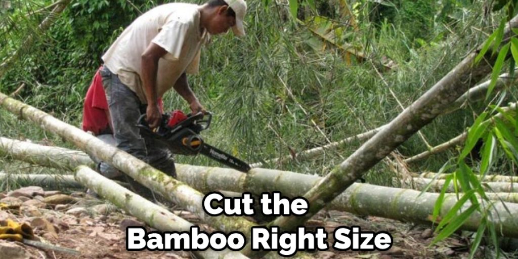 Cut the Bamboo Right Size