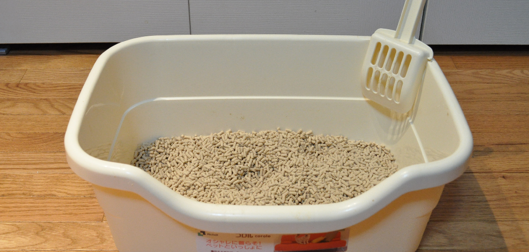 How to Clean a Litter Box in an Apartment