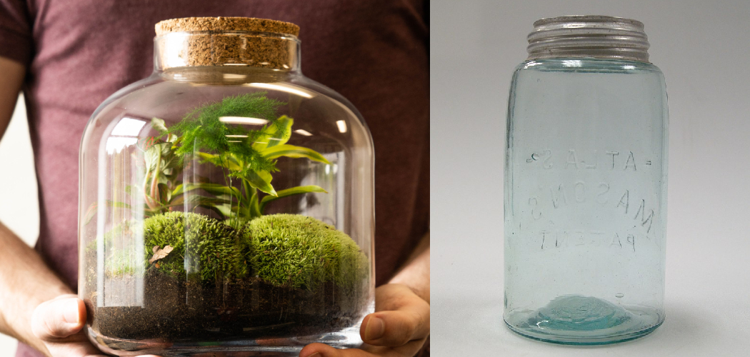 How to Make a Biosphere in a Jar