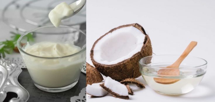 does-coconut-oil-make-hair-grow-faster-unlock-hair-secrets