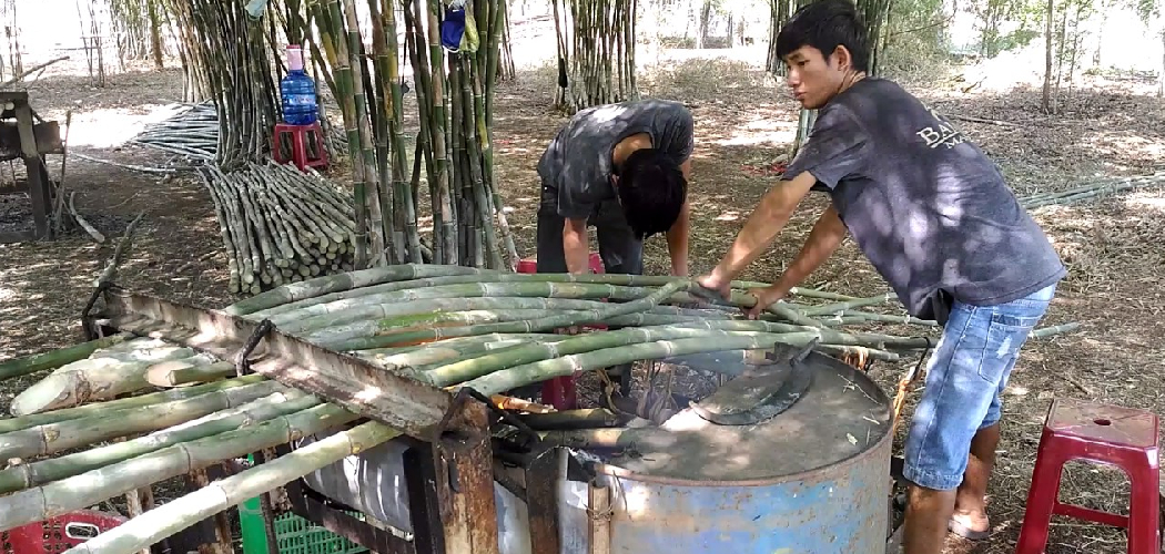 How to Straighten Bamboo