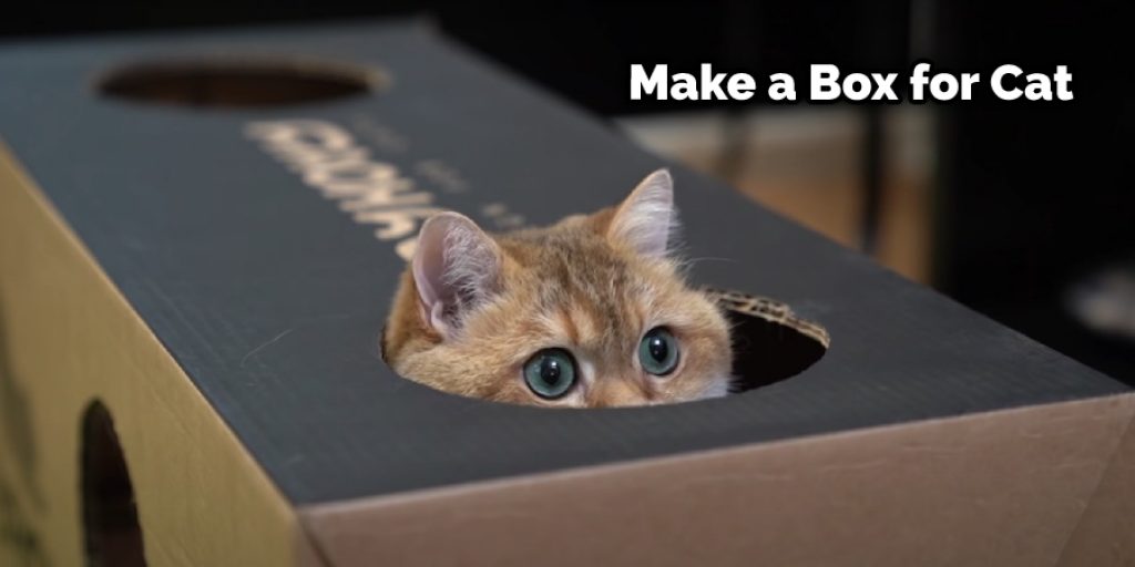 Make a Box for Cat