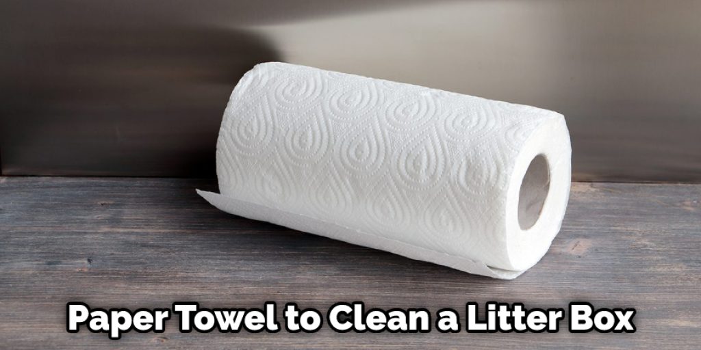 Paper Towel to Clean Litter Box