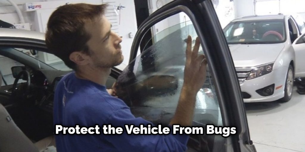 Protect the Vehicle From Bugs