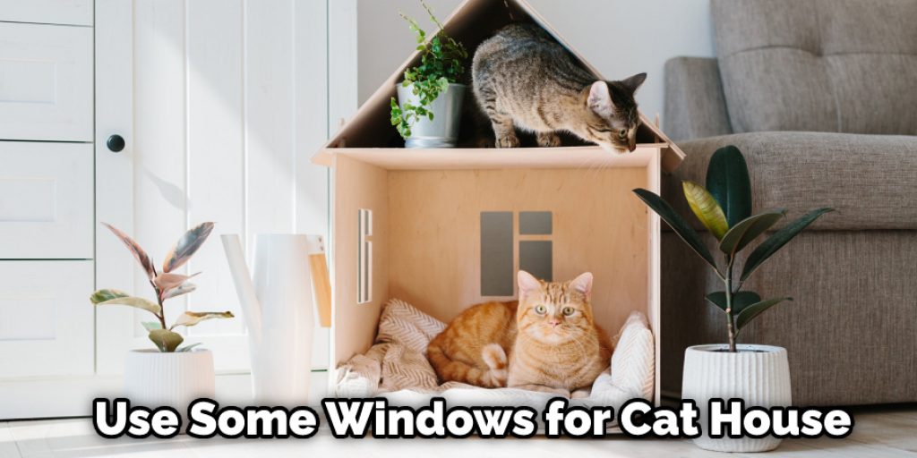 Use Some Windows for Cat House