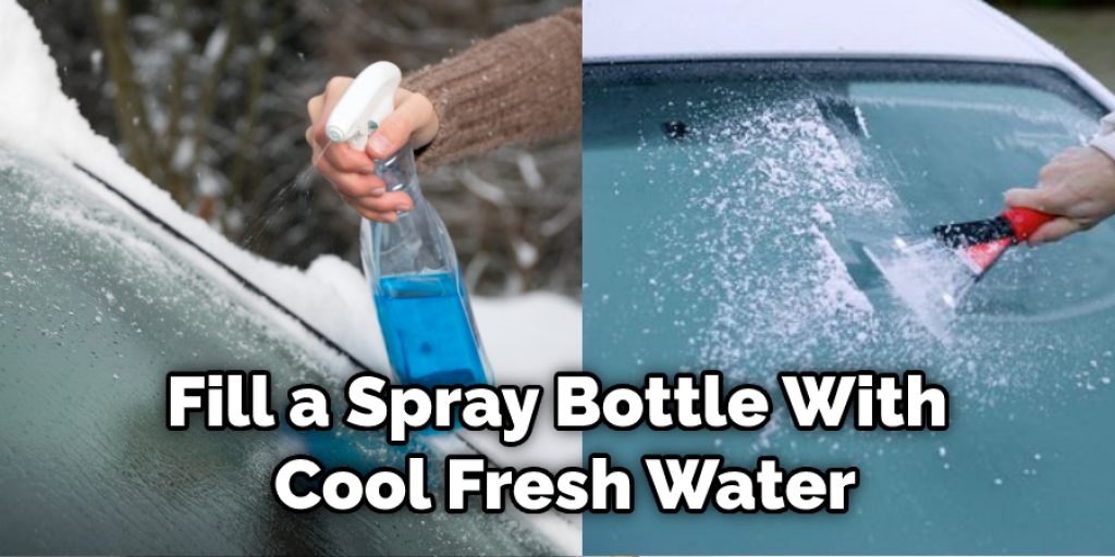 Fill a Spray Bottle With Cool Fresh Water