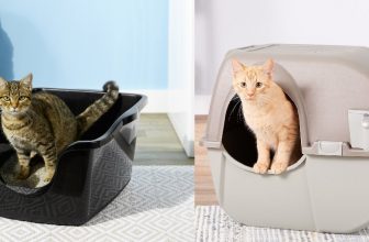 How to Move Cat Litter Box to Another Room