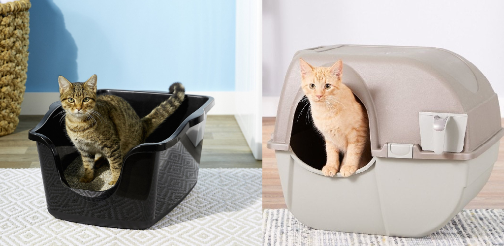 How to Move Cat Litter Box to Another Room