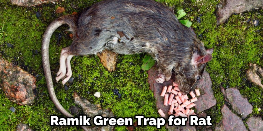  Ramik Green Trap for Rat