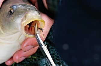 How to Tie a Hook for Catfish