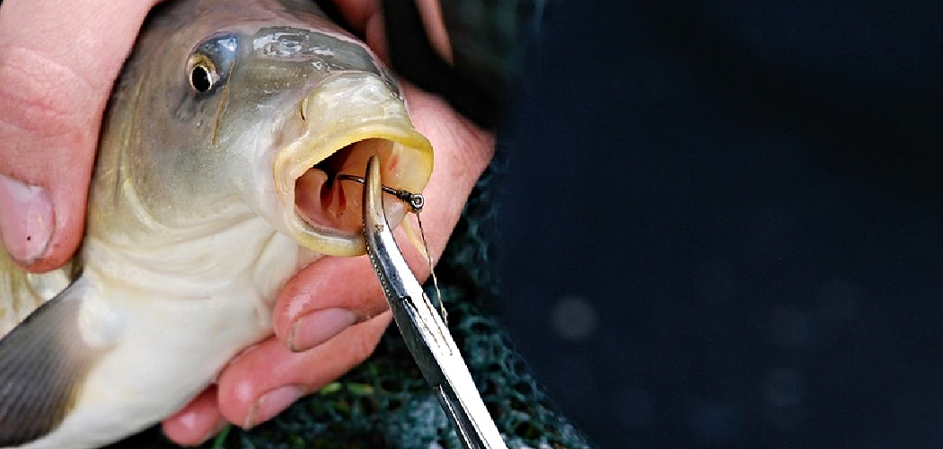 How to Tie a Hook for Catfish