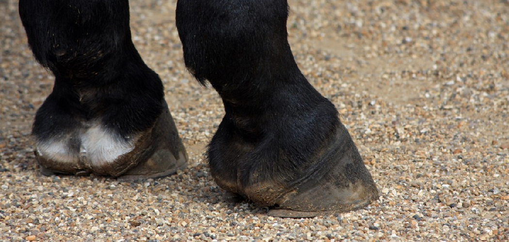 How to Make Hooves for a Costume