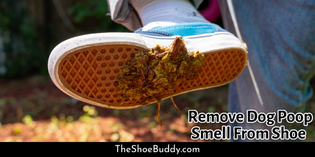 How Do I Clean Dog Poop Off Shoe at Rosalyn McMillen blog