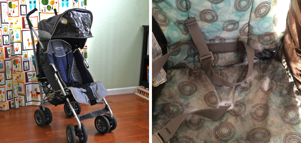 how-to-get-mold-out-of-stroller-fabric-7-effective-steps-2024