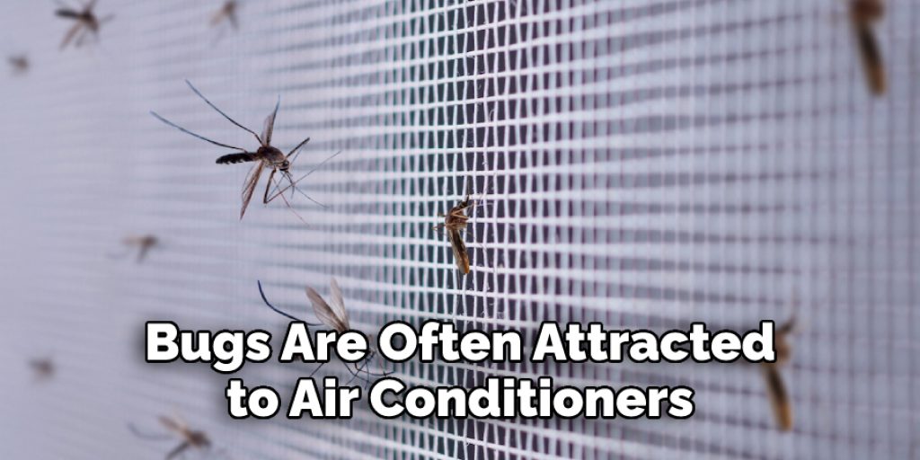  Bugs Are Often Attracted to Air Conditioners