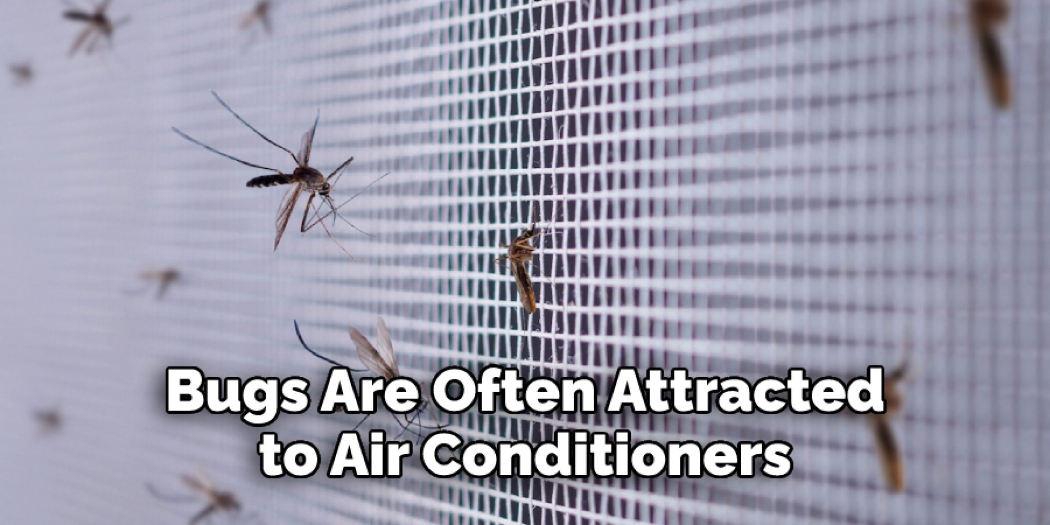 How To Prevent Bugs From Coming Through Air Conditioner Vents