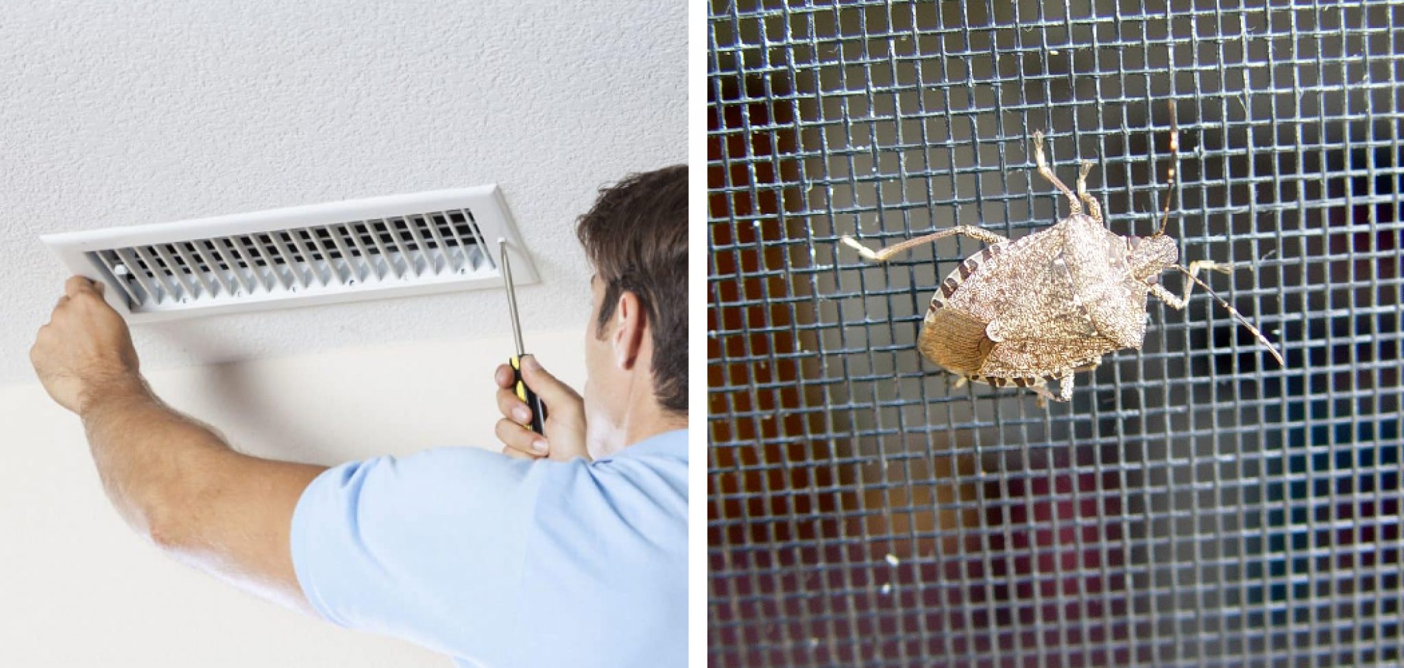 how-to-prevent-bugs-from-coming-through-air-conditioner-vents