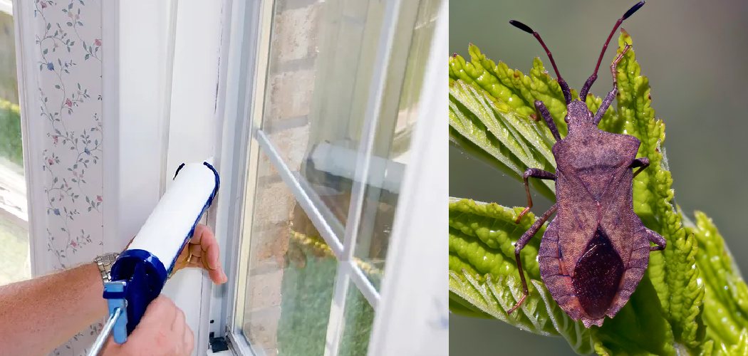 How to Seal Windows from Bugs