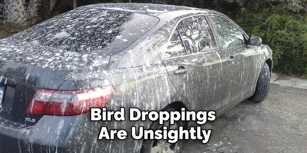 Bird Droppings Are Unsightly
