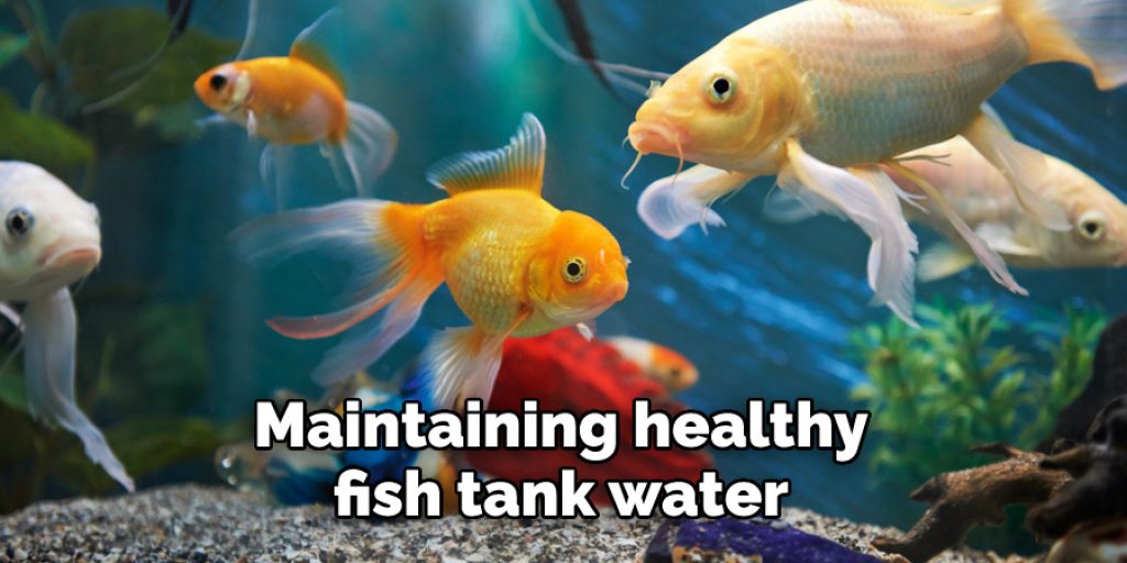 Maintaining healthy fish tank water 