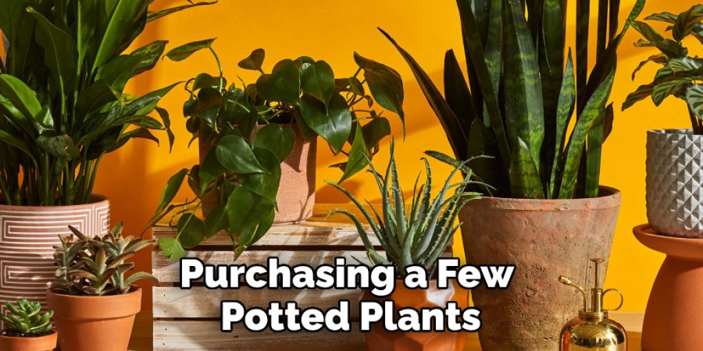 Purchasing a Few Potted Plants