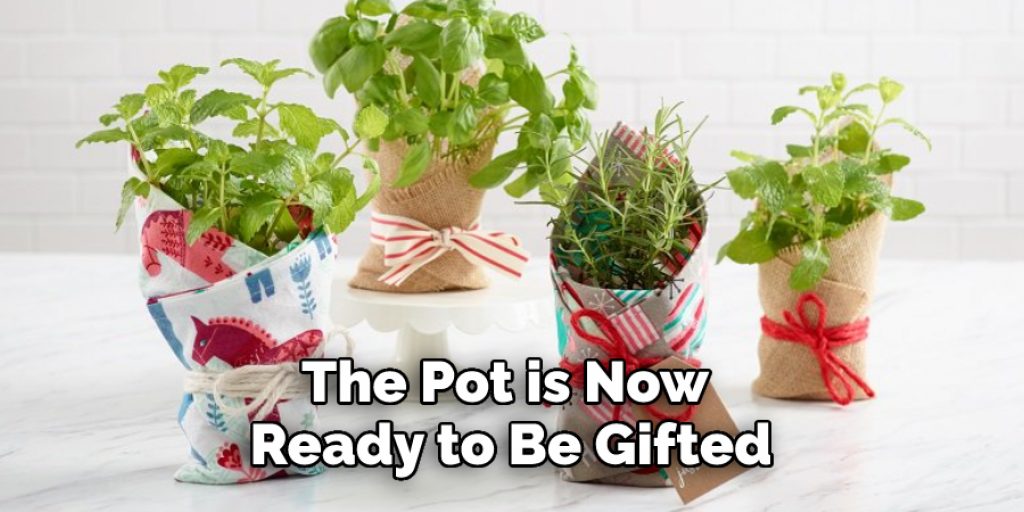 The Pot is Now Ready to Be Gifted