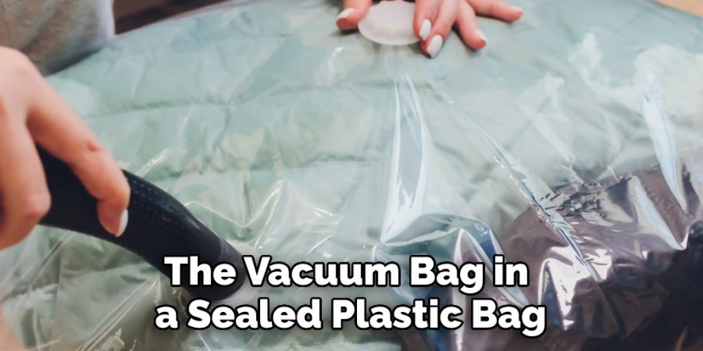 The Vacuum Bag in a Sealed Plastic Bag