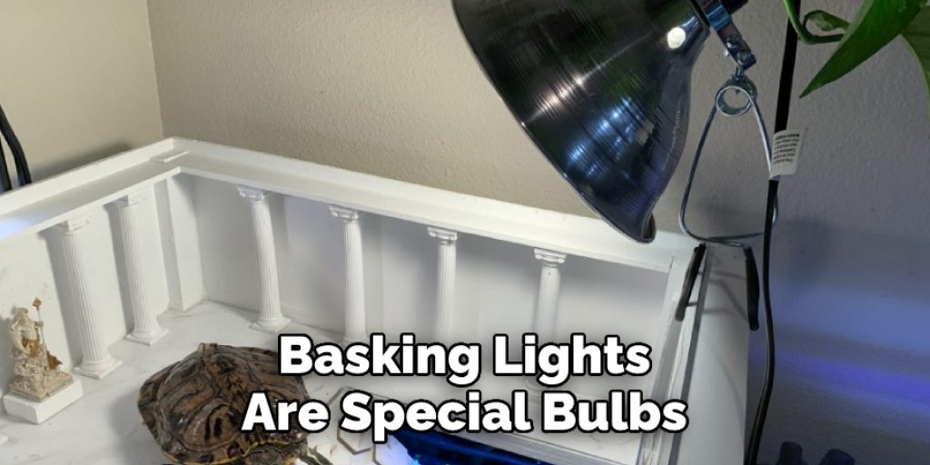 Basking Lights Are Special Bulbs 