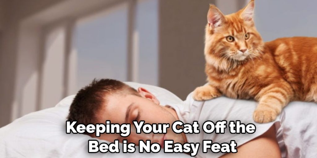 How to Keep Cat Off Bed 6 Steps Instructions (2024)