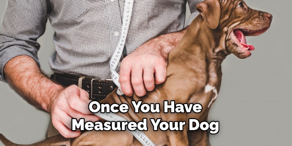 Once You Have Measured Your Dog