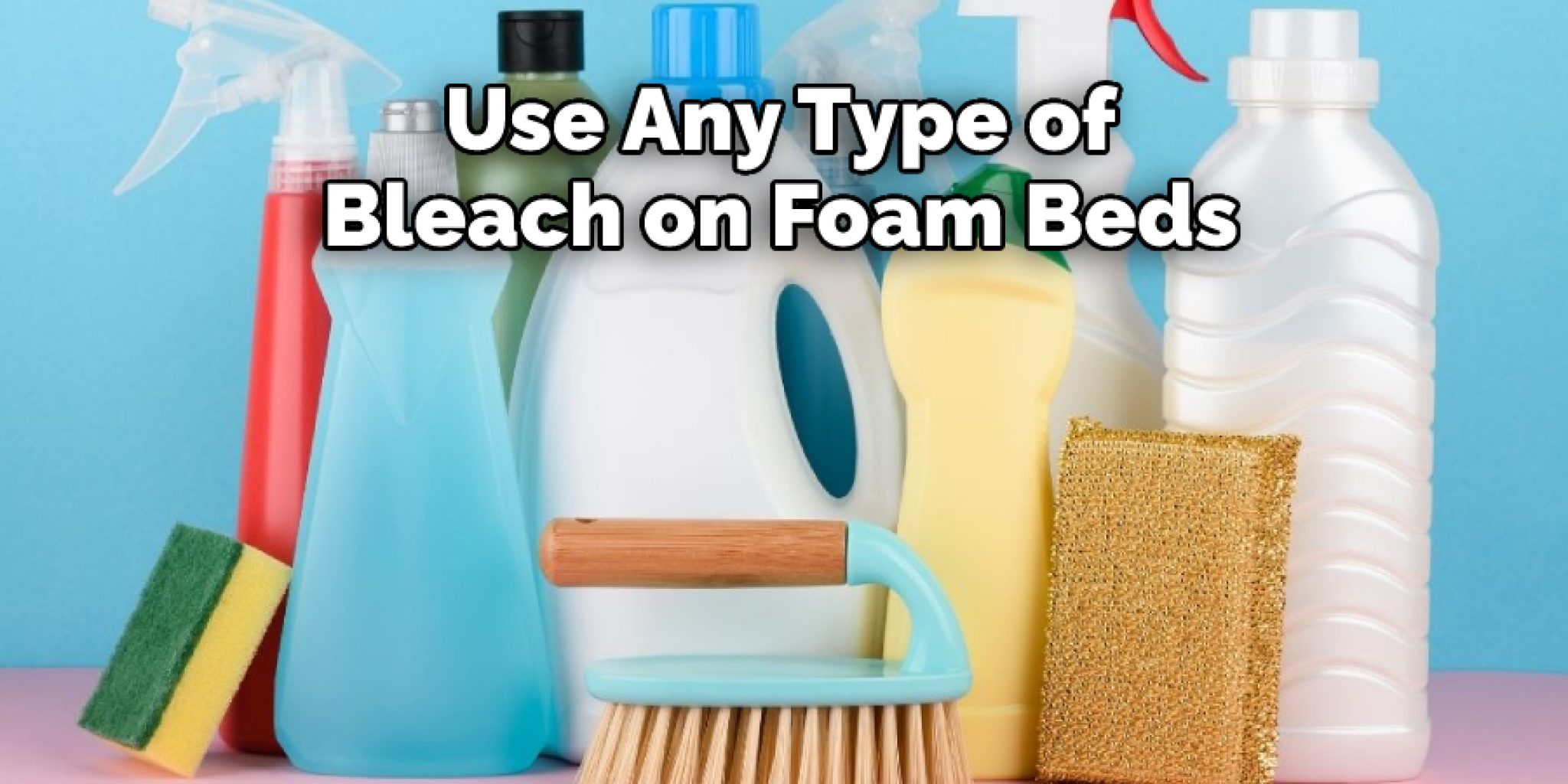 how-to-clean-foam-dog-bed-10-effective-methods-2024