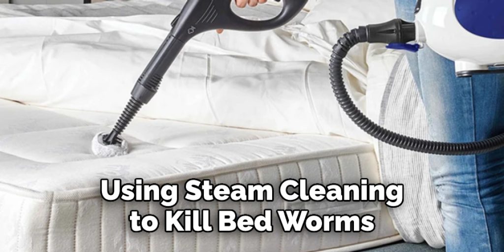 Using Steam Cleaning
to Kill Bed Worms