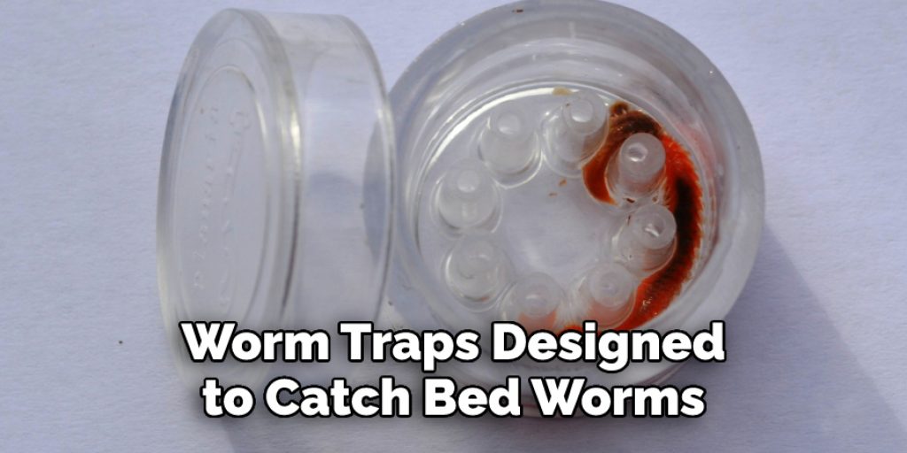 Worm Traps Designed
 to Catch Bed Worms 